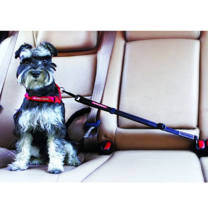 EzyDog Click Adjustable Car Restraint Black
