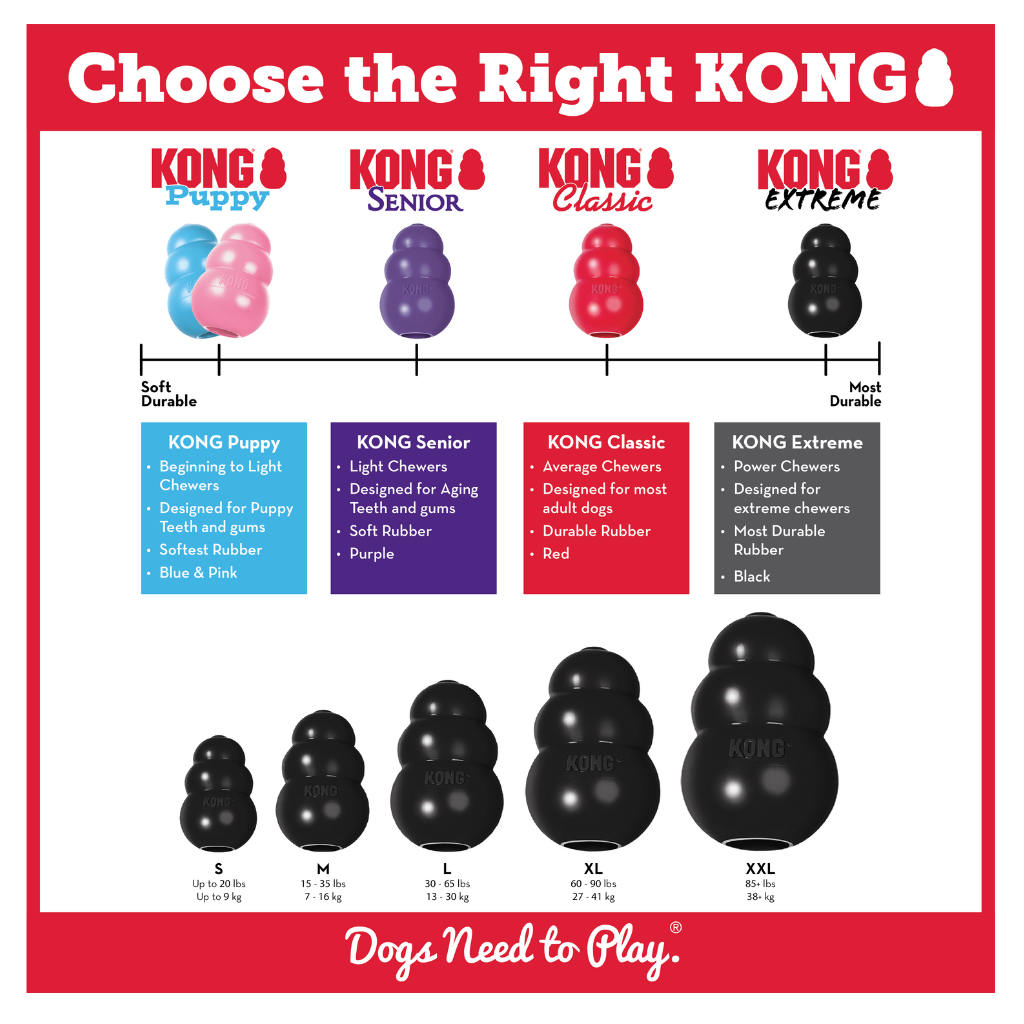 KONG Extreme Kong Dog Toy