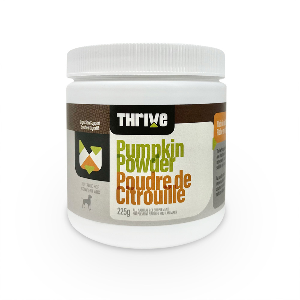 Thrive Dehydrated Pumpkin Powder