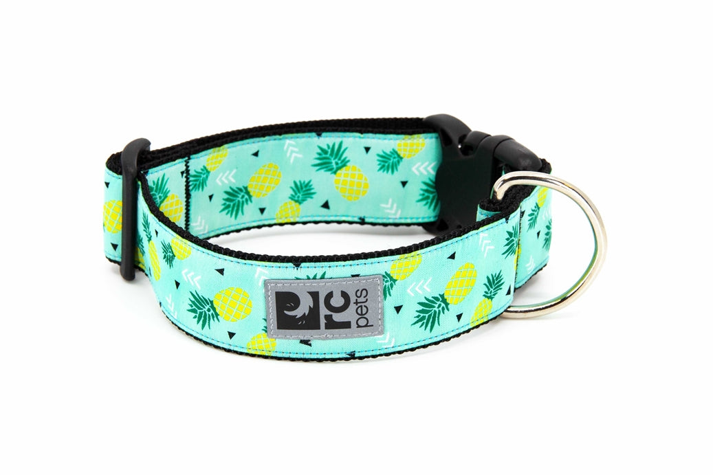 RC Pets Wide Clip Dog Collar - Rainbow