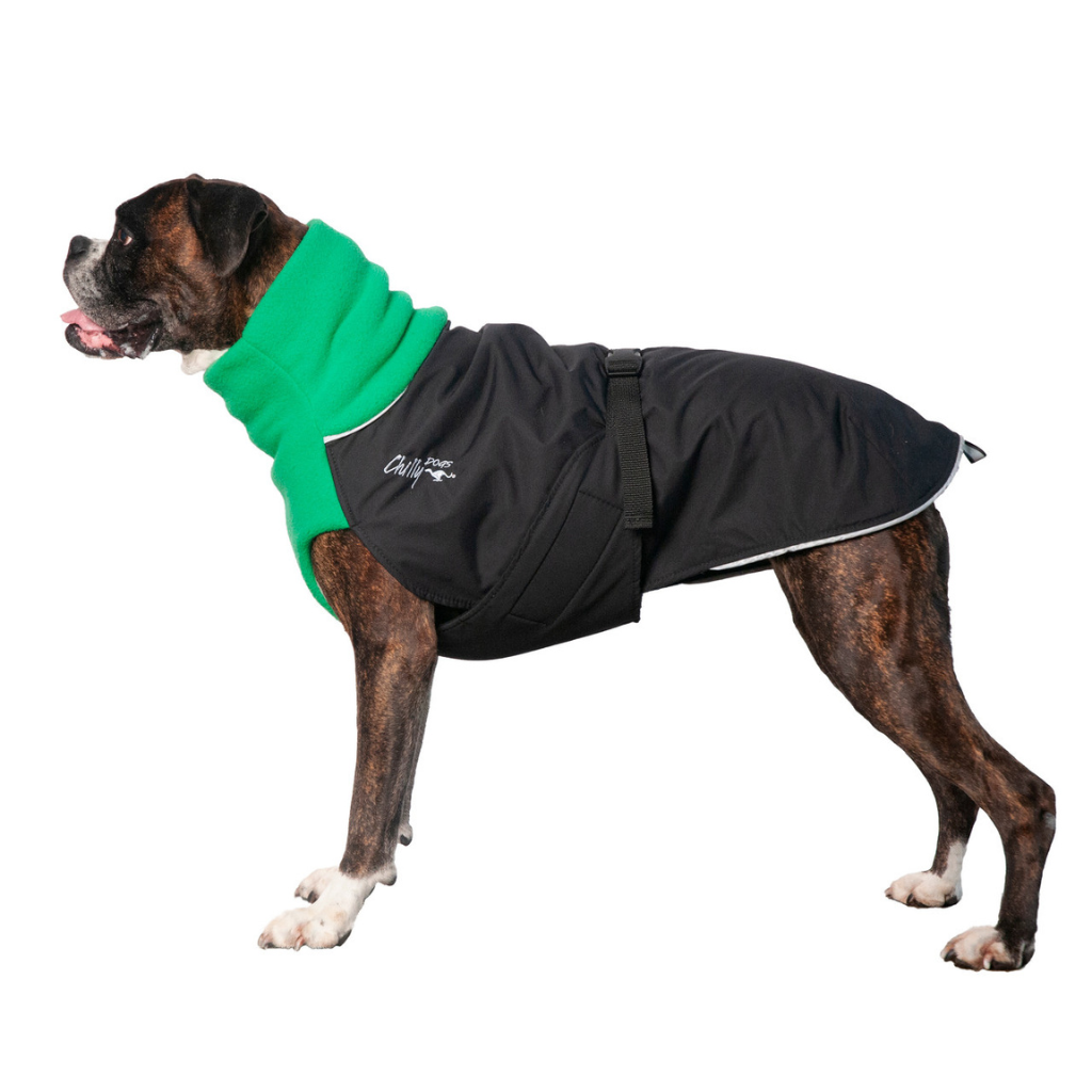 Chilly Dogs Great White North Winter Dog Coat - Teal Green