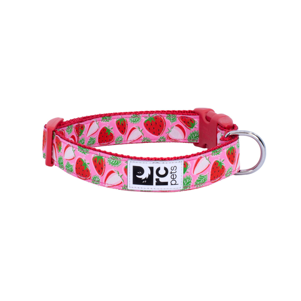 RC Pets Clip Dog Collar - Strawberries
