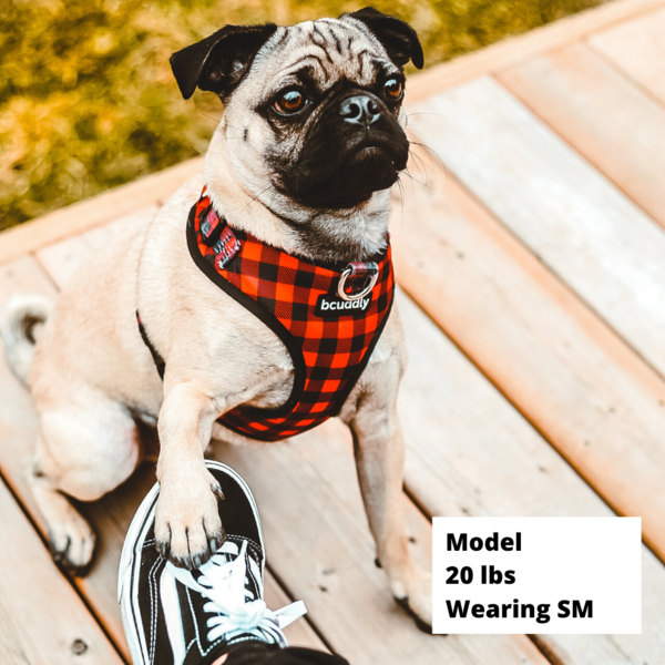 BCUDDLY Harness Red Plaid