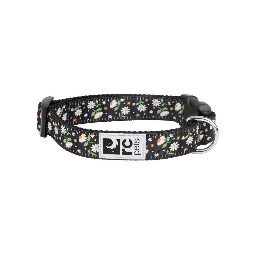 RC Pets Clip Dog Collar - Daisies