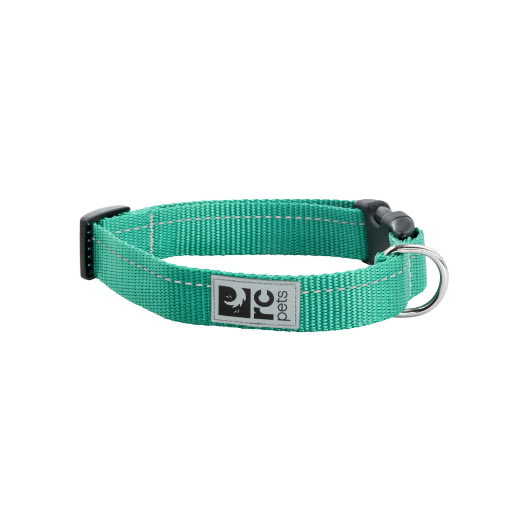 RC Pets Primary Clip Dog Collar - Parakeet