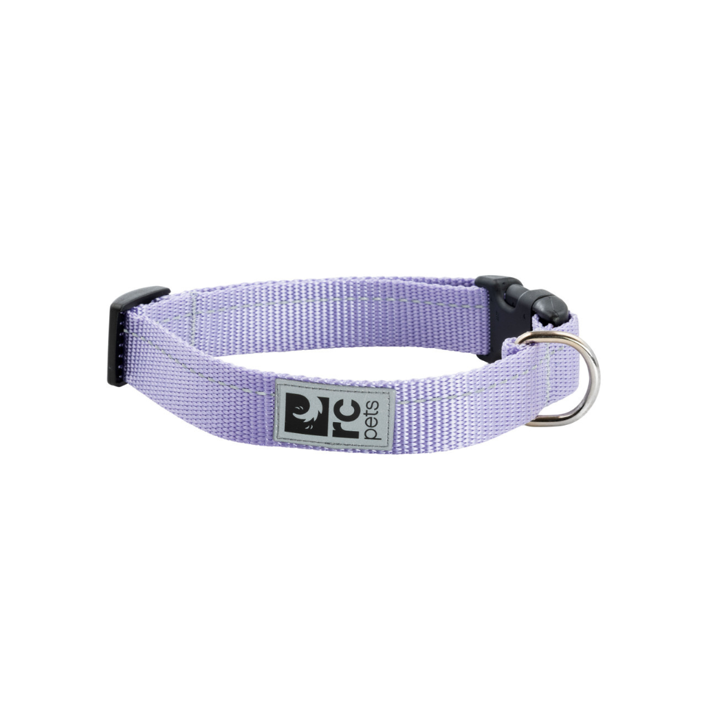 RC Pets Primary Clip Dog Collar - Lilac