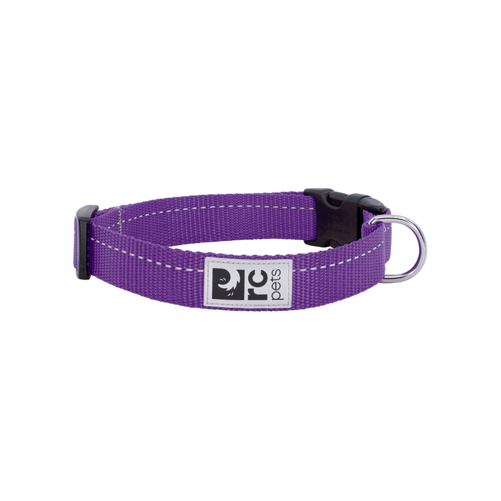 RC Pets Primary Clip Dog Collar - Purple