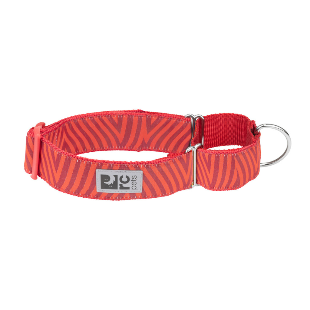 RC Pets All Webbing Training Dog Collar - Goji Chevron