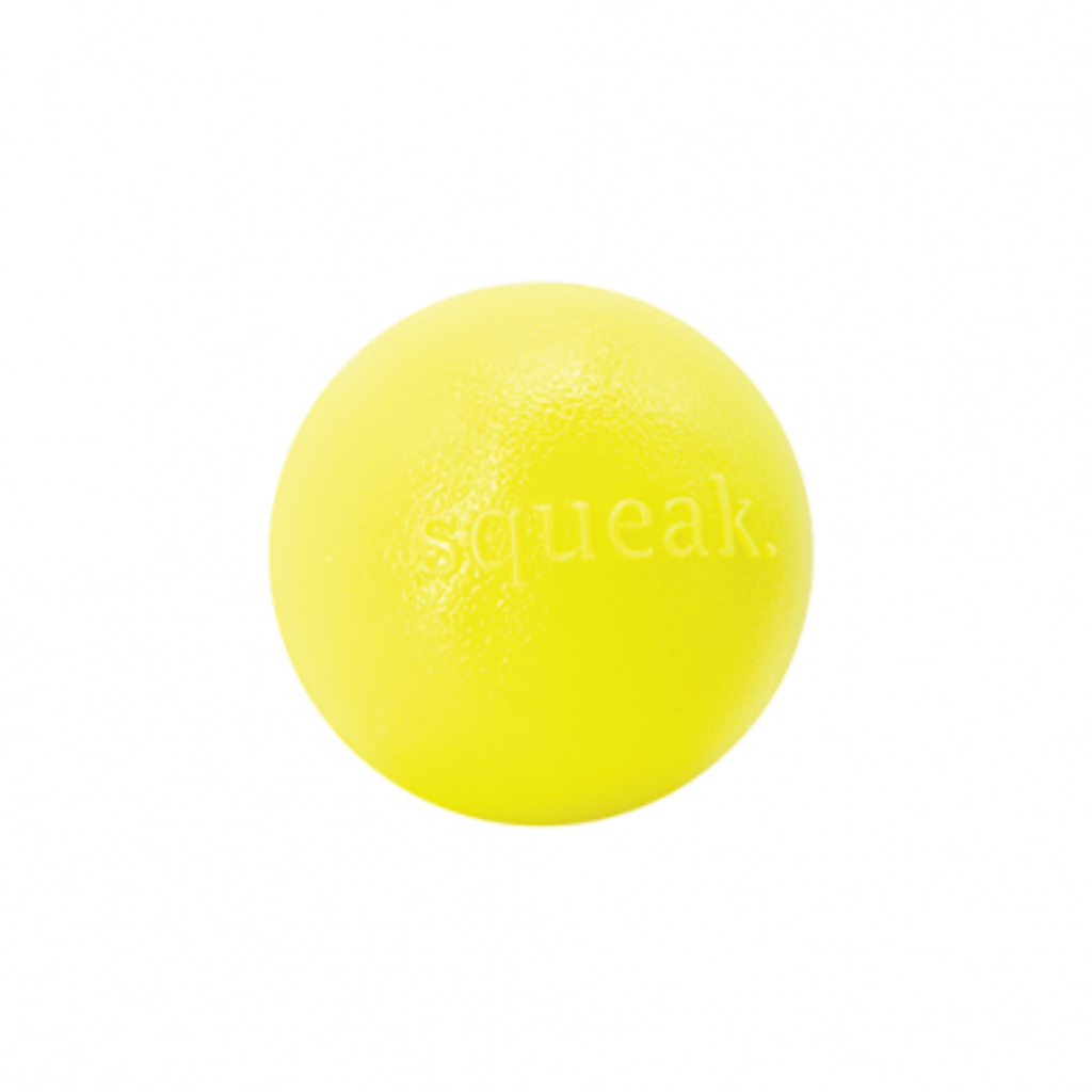 Planet Dog Orbee-Tuff Squeak Ball Yellow Dog Toy