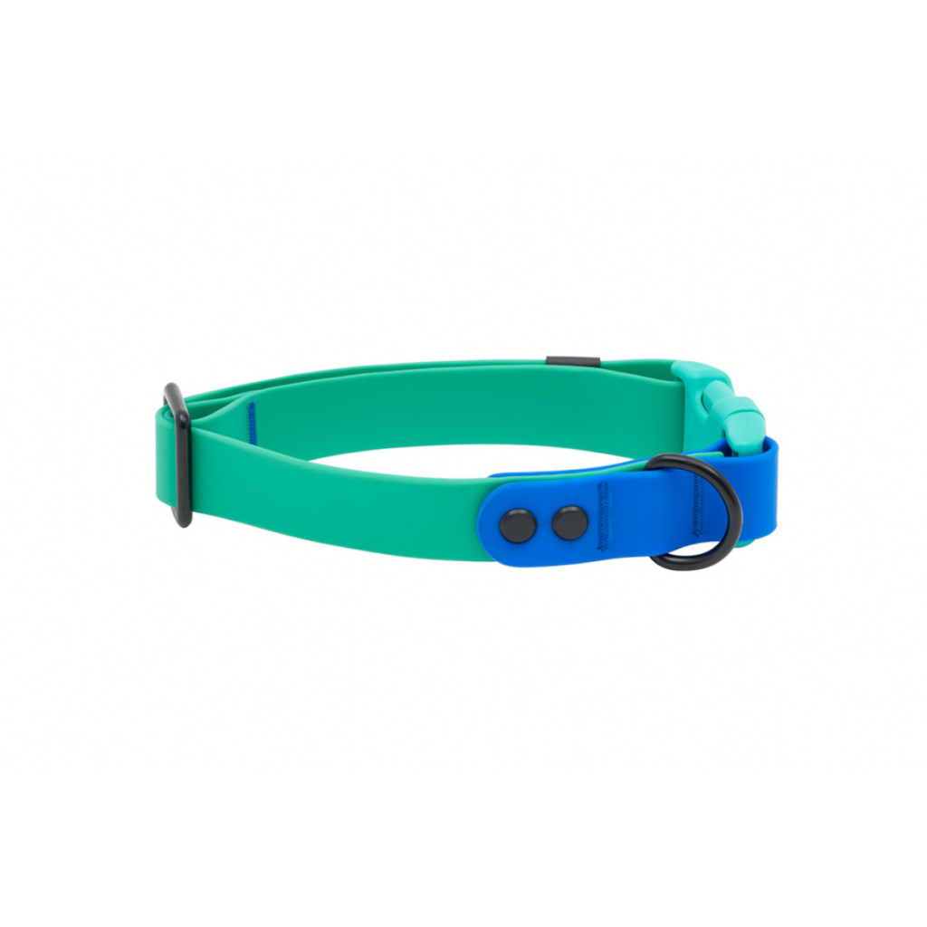 RC Pets Waterproof Dog Collar - Parakeet/Sapphire