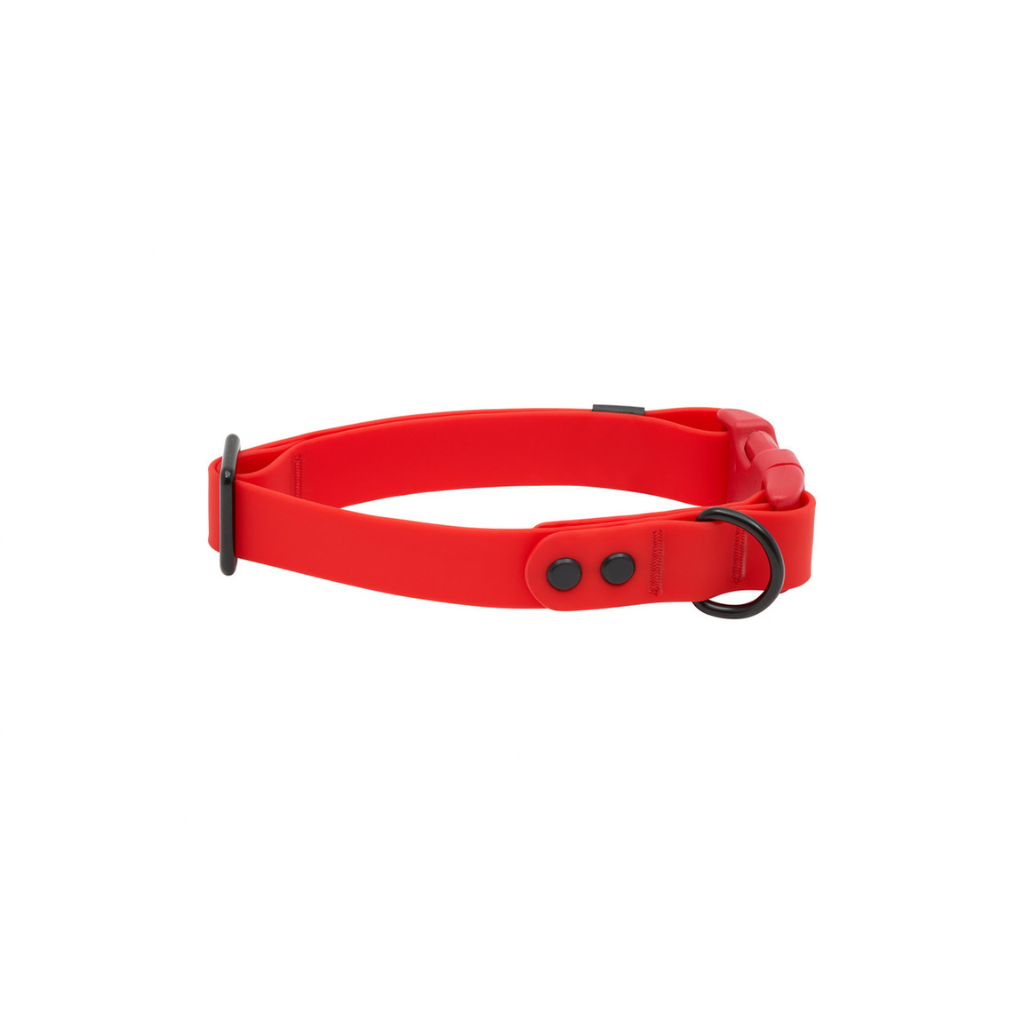 RC Pets Waterproof Dog Collar - Red