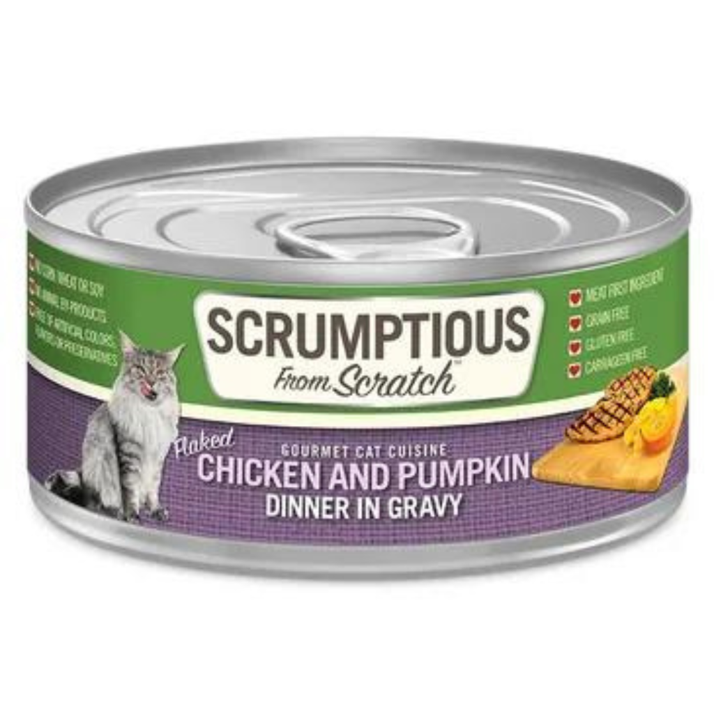 Scrumptious From Scratch Chicken and Pumpkin Dinner in Gravy Cat Can