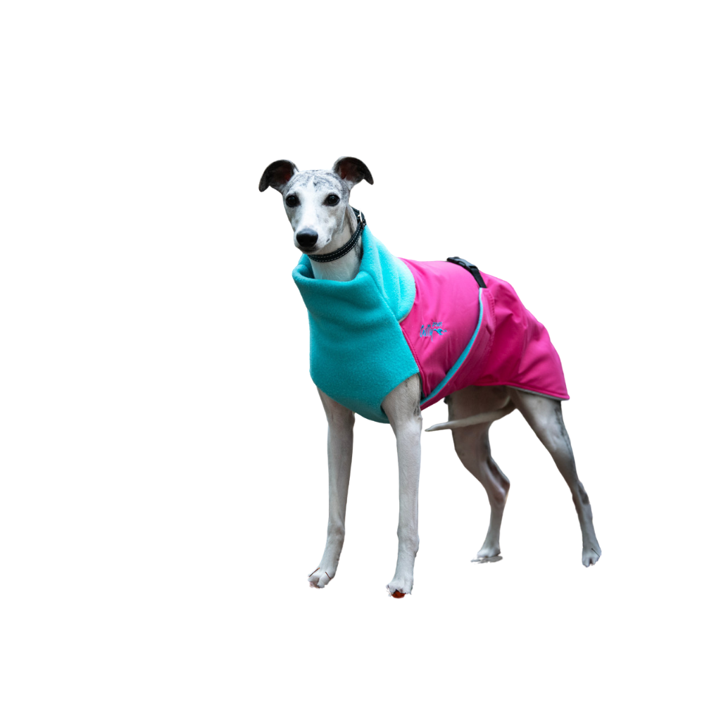 Chilly Dogs Great White North Winter Dog Coat - Candy Floss