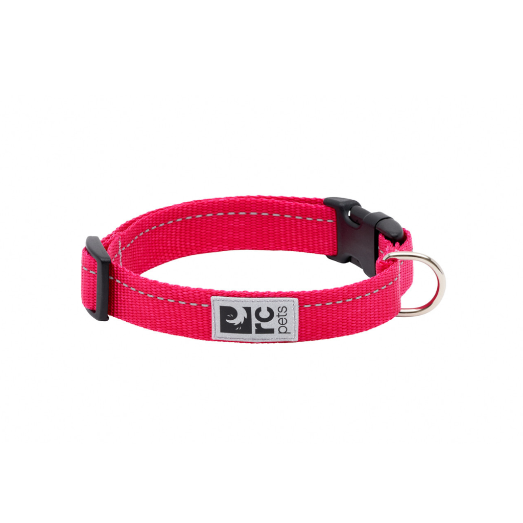 RC Pets Primary Clip Dog Collar - Azalea