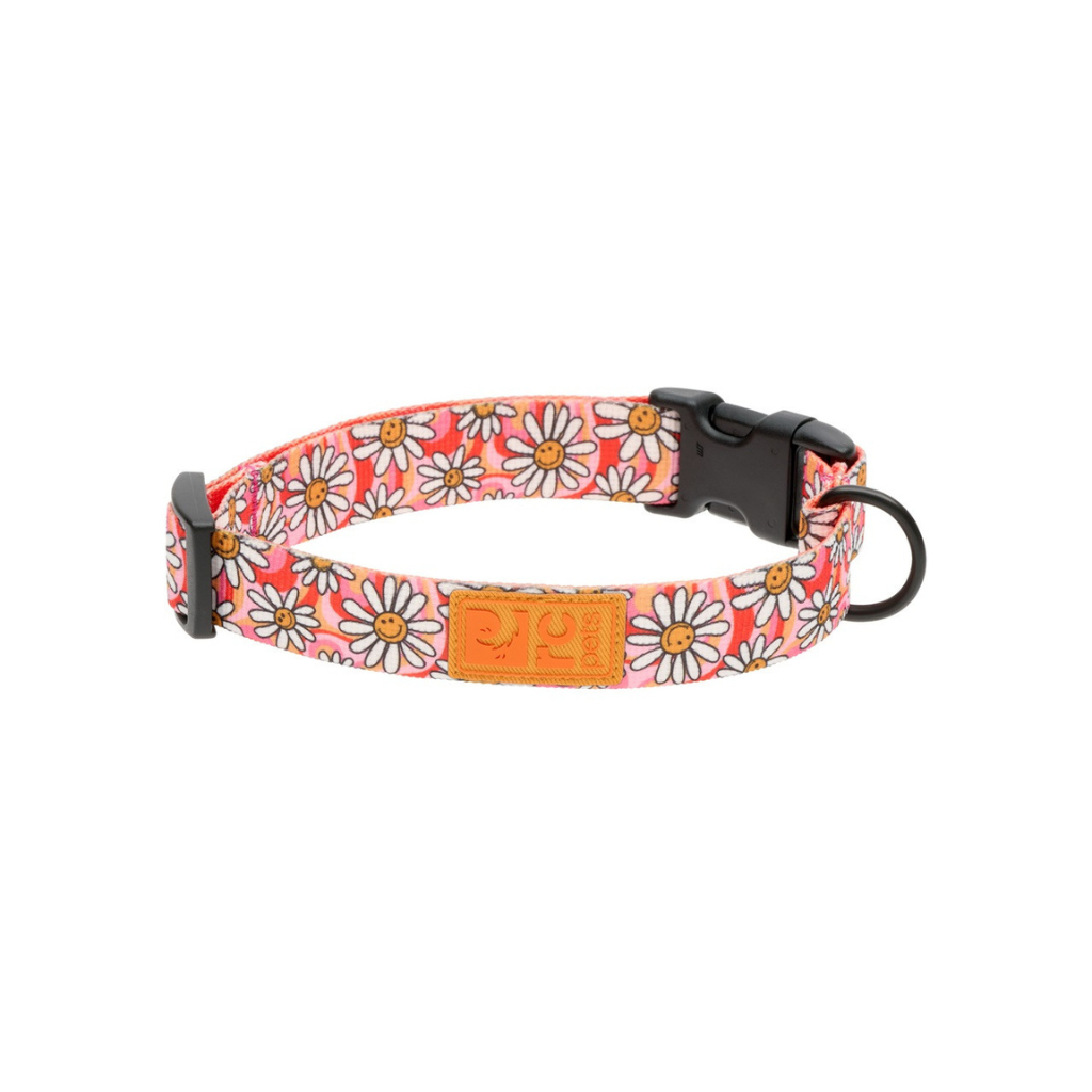 RC Pets Eco Clip Collar - Daisy Joy