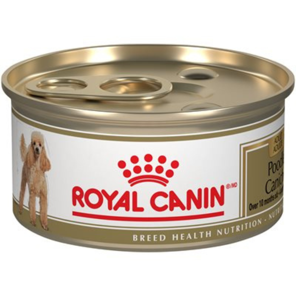 Royal Canin Breed Health Nutrition Poodle Adult Dog Can