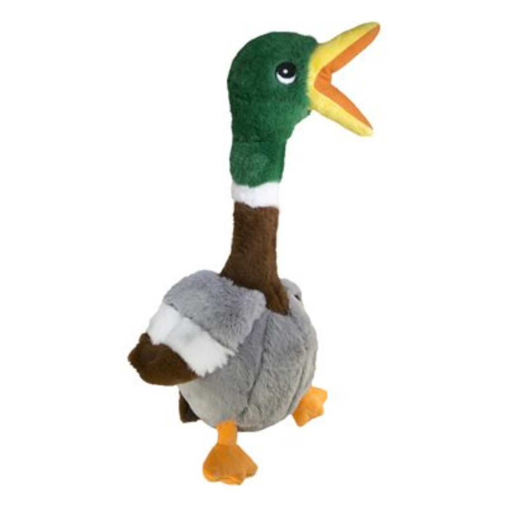 KONG Shakers Honkers Duck Large Dog Toy