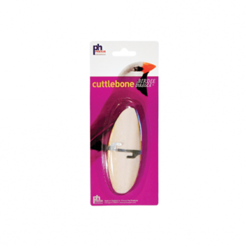Prevue Hendryx Birdie Basics Cuttlebone - Small