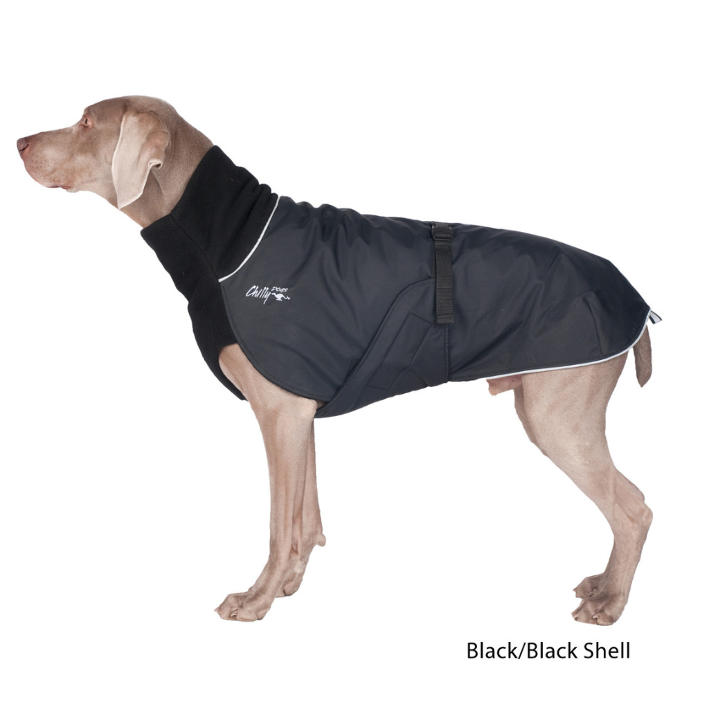 Chilly Dogs Great White North Winter Dog Coat - Black