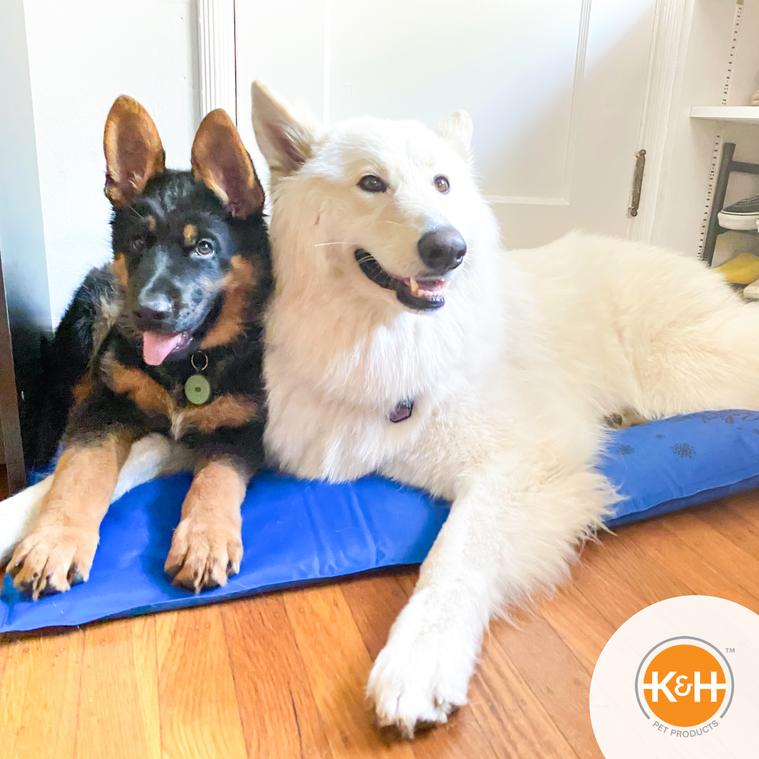 K&H Pet Products Coolin' Pet Pad