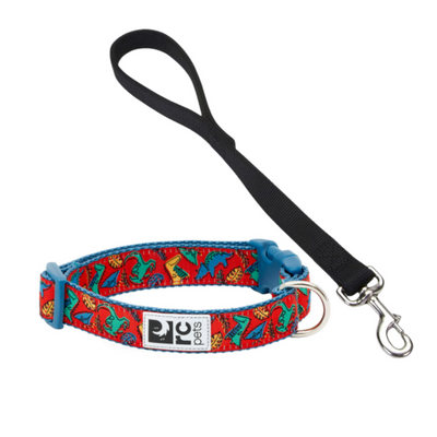 Dog Collars, Leashes and Harnesses