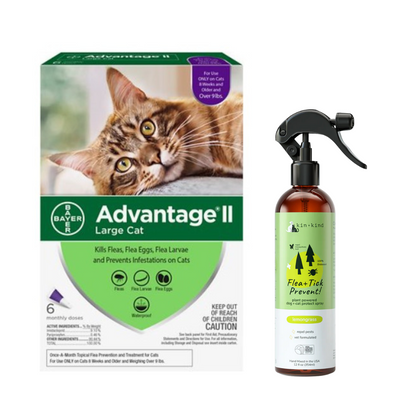 Cat Flea and Tick