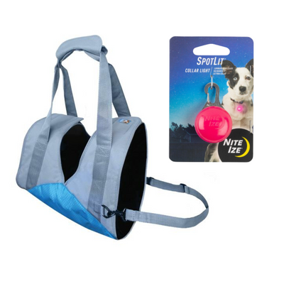 Dog Travel Essentials