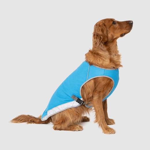 Canada Pooch Chill Seeker Cooling Vest