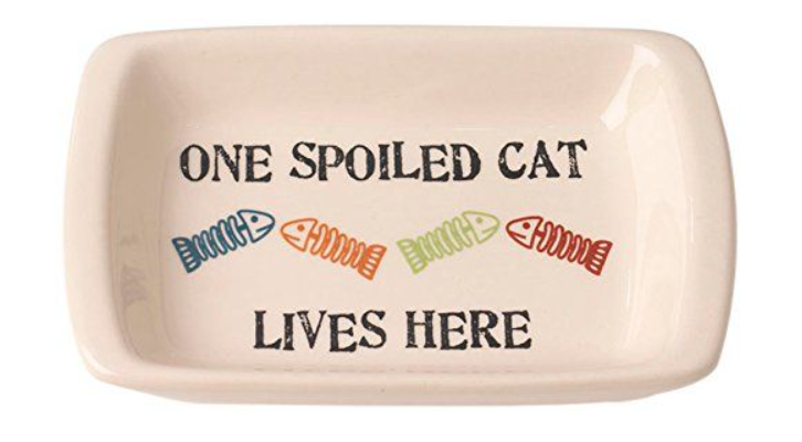 Petrageous One Spoiled Cat Saucer