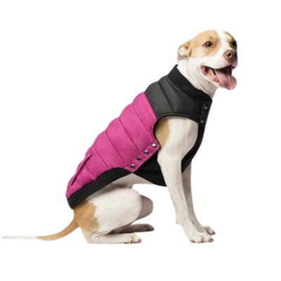 Canada Pooch Summit Stretch Vest - Plum