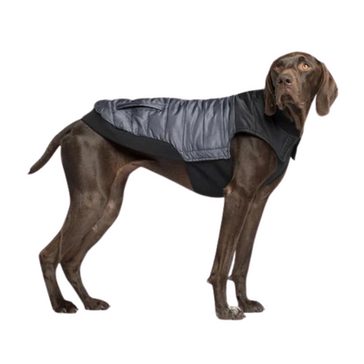 Canada Pooch Summit Stretch Vest - Grey