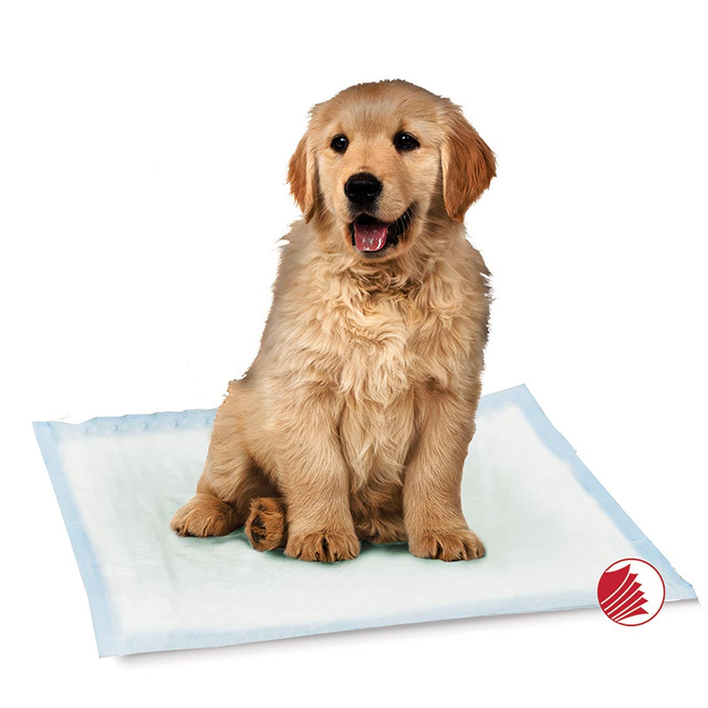 Smart Pet Love Training Pad Large