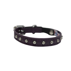 Angel Leather Cat Collar Studded 10