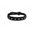 Angel Leather Cat Collar Studded 10"