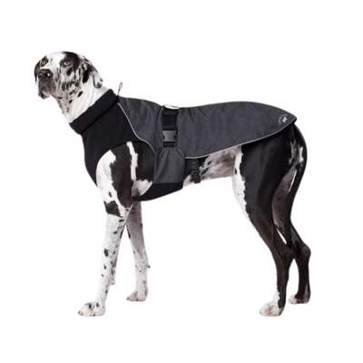 Canada Pooch Expedition Dog Coat - Charcoal