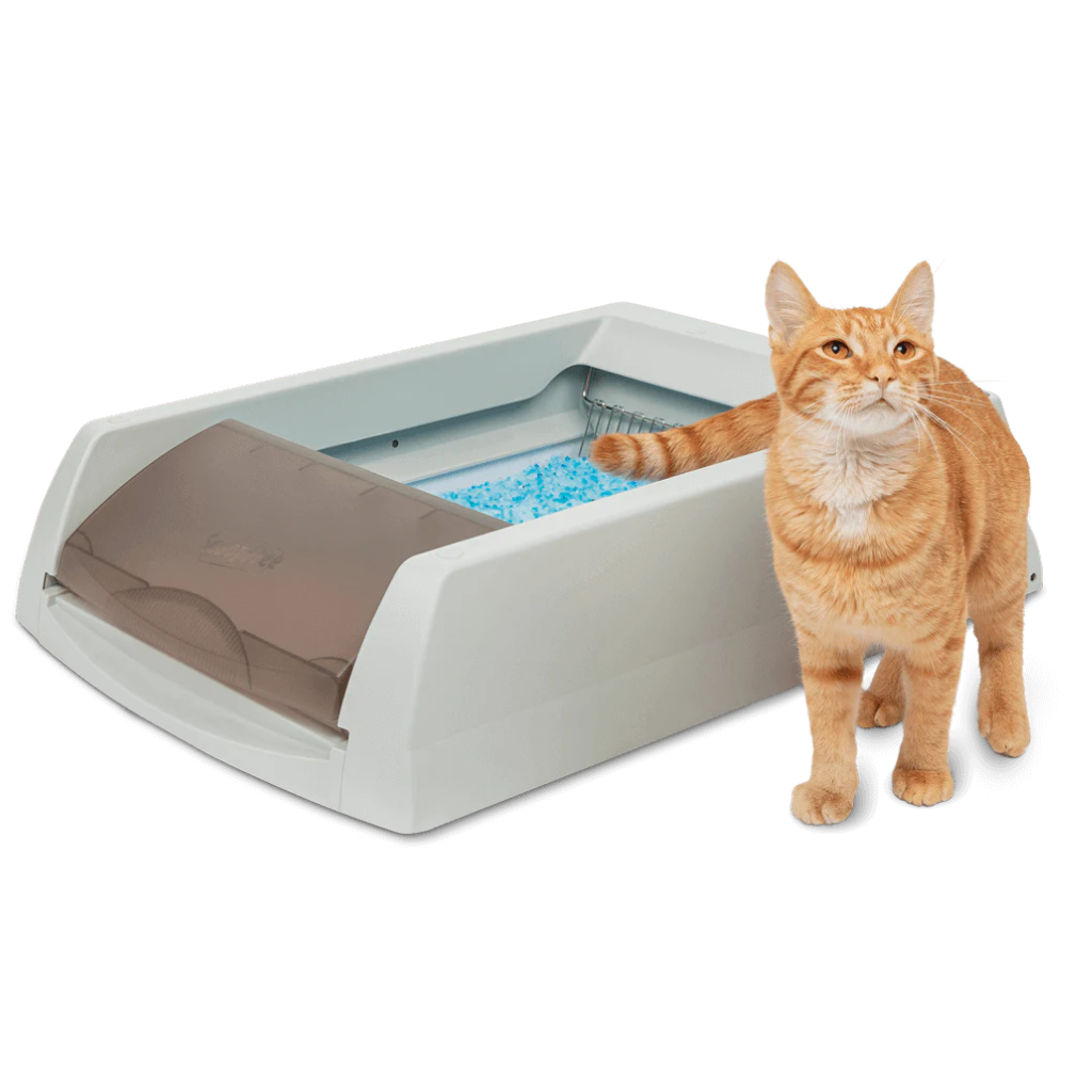 PetSafe ScoopFree Original Automatic Self-Cleaning Cat Litter Box