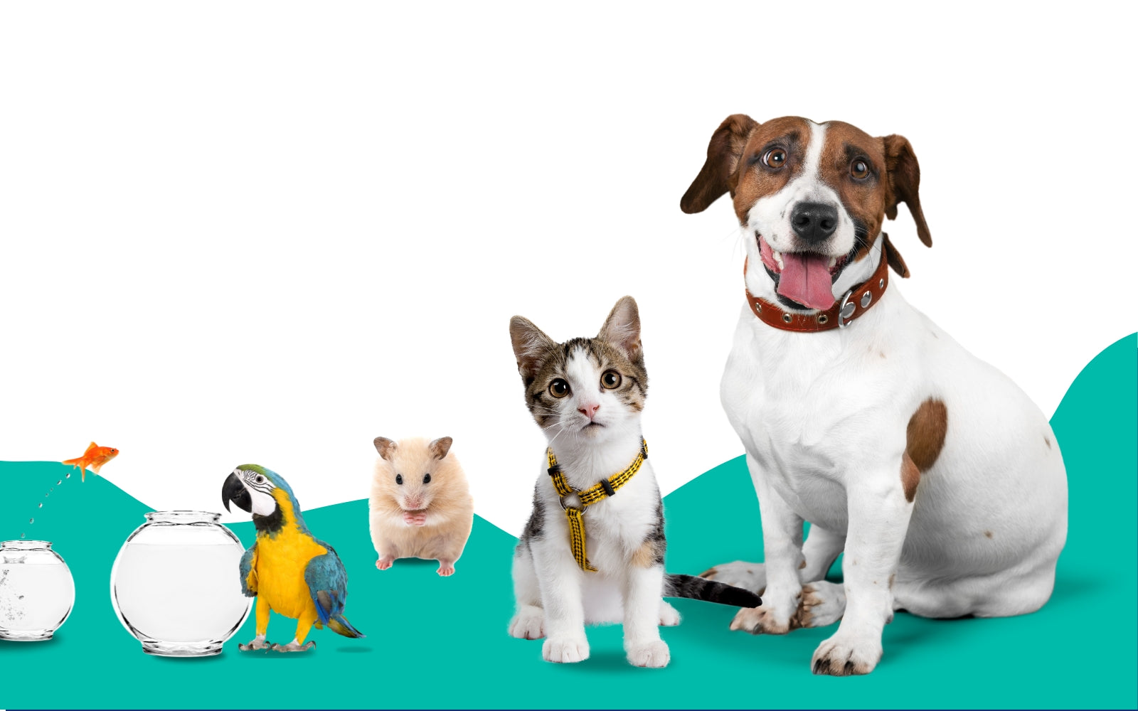 Healthy Pets HQ Pet Store Ottawa ON