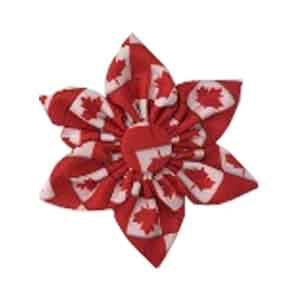 Huxley & Kent Pinwheel - Canada