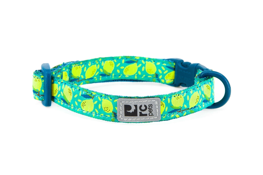 RC Pets Kitty Breakaway Collar - Lemonade