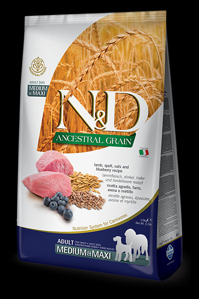 N&D Ancestral Grain Lamb & Blueberry Adult Maxi for Dogs
