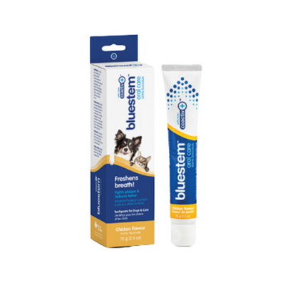 Bluestem Oral Care Toothpaste with coactiv+ Chicken Flavor for Dogs & Cats