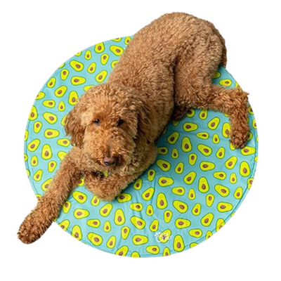 GF Pet Ice Mat Round Aqua