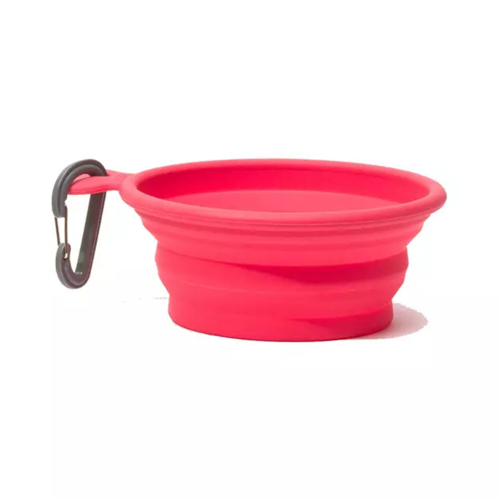 Messy Mutts Silicone Collapsible Bowl Small - Watermelon