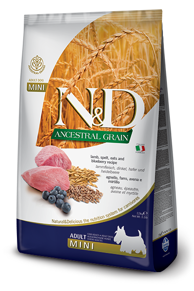 N&D Ancestral Grain Lamb & Blueberry Adult Mini