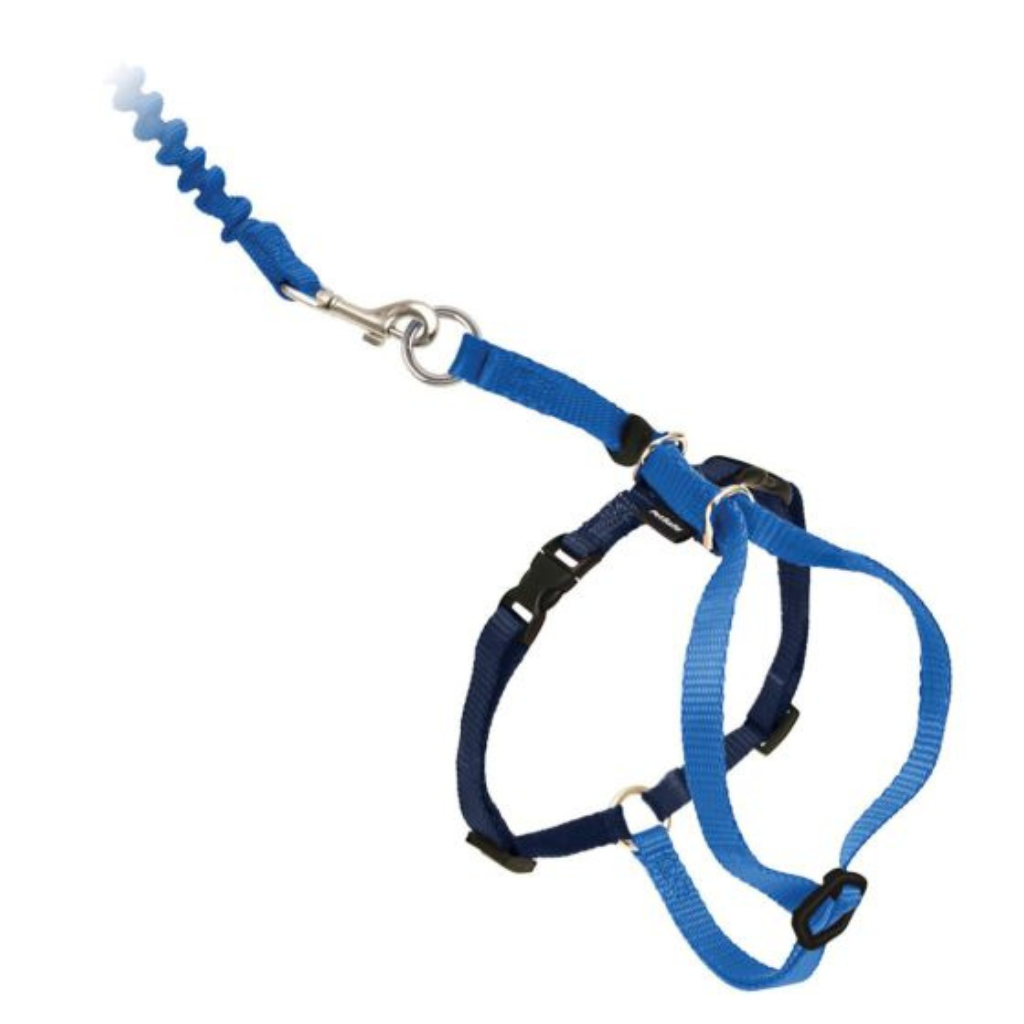 PetSafe Come With Me Kitty Harness And Bungee Leash Royal Blue