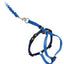 PetSafe Come With Me Kitty Harness And Bungee Leash Royal Blue