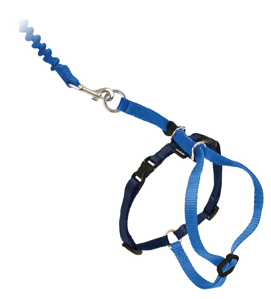 PetSafe Come With Me Kitty Harness And Bungee Leash Royal Blue