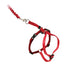 PetSafe Come with Me Kitty Harness Bungee Leash Red