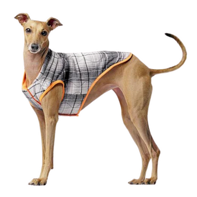 Canada Pooch Reversible Vest - Orange/Plaid