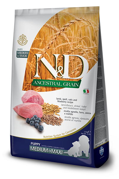 N&D Ancestral Grain Lamb & Blueberry Puppy Maxi